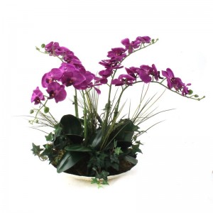 Dalmarko Designs Orchids in Decorative Bowl DALD1439